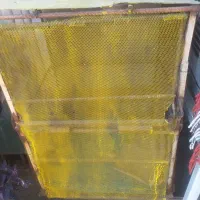 قفس و کبوتر