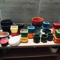 تعدادی کلدان بزرگ و کوچک