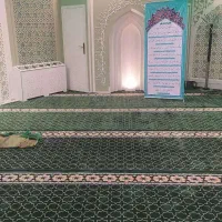 خرید سجاده‌فرش با قیمت مناسب در شوشتر|فرش|شوشتر, |دیوار