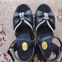 کفش مجلسی