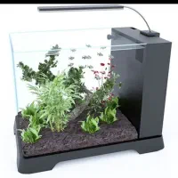 آکواریوم و تجهیزات