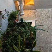 فروش خانه ویلایی ۱۴۰ متری در حصیرآباد خیابان ۱فرعی|فروش خانه و ویلا|اهواز, حصیرآباد|دیوار