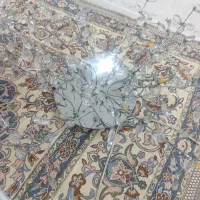 دوتالوستر