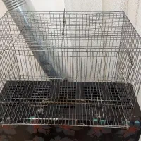دوچرخه ساعت tvقفس|اسباب و اثاث بچه|اسفراین, |دیوار