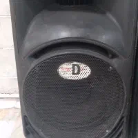 یک جفت باند ۱۲ اینچ