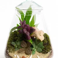 گیاه طبیعی|گل و گیاه طبیعی|باقرشهر, |دیوار