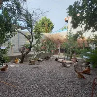 زمین ۵۰۵ متری ساحلی بندرانزلی پاسداران|فروش زمین و ملک کلنگی|بندر انزلی, پاسداران|دیوار
