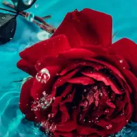 فروش سیم کارت