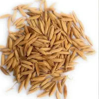 جو هاشمی درجه یک