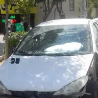کاپوت ۲۰۶ سالم