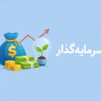 سرمایه گذار شرکت آموزشی