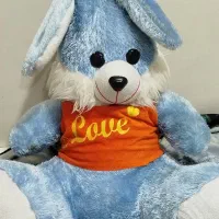 عروسک زیبا و پولیشی