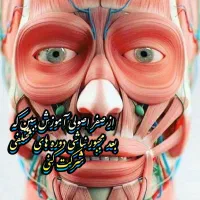 آموزشگاه تخصصی پوست|خدمات آموزشی|نجف‌آباد, شریعتی غربی|دیوار