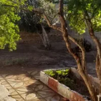 خانه-باغ-ویلایی-در-روستا-عمروان