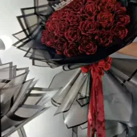 شاین دار ۱۲۰ ساده ۱۰۰