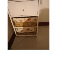 جای سیب زمینی پیاز