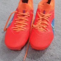 کفش استوک دار