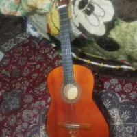 گیتار مبتدی|گیتار، بیس، امپلیفایر|نیشابور, هفده شهریور|دیوار