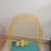 سه عدد قفس پرنده|لوازم جانبی حیوانات|تهران, ائمه اطهار|دیوار