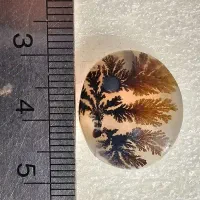 سنگ شجر قائن طبیعی اصل|جواهرات|اصفهان, خانه اصفهان|دیوار