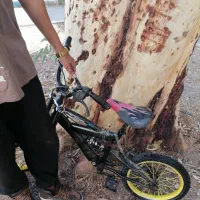 دوچرخه.متور