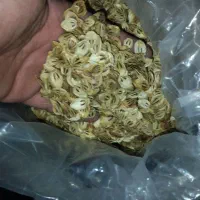 گلپر ارگانیک ییلاقی