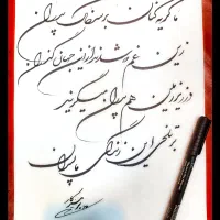 آخرین توشه زندگی