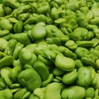 باقالی سبزوتازه بروز