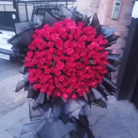 رز هلندی شاخه ای ۲۰|گل و گیاه طبیعی|کرج, فاز ۱ مهرشهر|دیوار