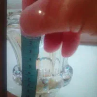 ۲۰‌عدد لاله لوستر شامپاینی|لوستر و چراغ آویز|تهران, حافظیه|دیوار