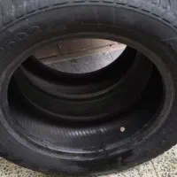 لاستیک ساینا بارز