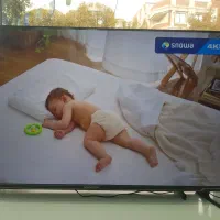 تلویزیون های جدید برند اسنوا و دوو|تلویزیون و پروژکتور|اراک, |دیوار