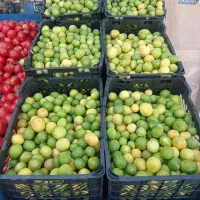 mioeiiii|خوردنی و آشامیدنی|فولادشهر, B7|دیوار