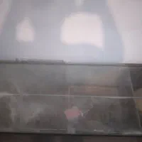 اکواریوم|ماهی|کرج, کمالشهر|دیوار