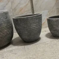 گلدان|گل و گیاه طبیعی|کرج, خرمدشت|دیوار