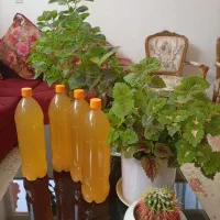 آبغوره تازه سی سخت