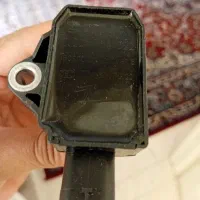 کوئل مارک بوش