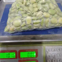 باقالی تازه و درشت