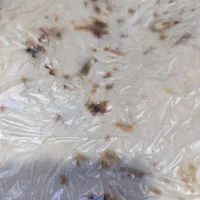 نیازمند نیروی خانم جهت کار در نانوایی لواش محلی