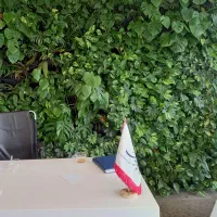 استخدام فروشنده پاره وقت گلخانه
