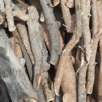خریدار چوب