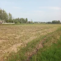 فروش ۲هکتار شالیزار و زمین مسکونی اطراف شهرآستانه|فروش زمین و ملک کلنگی|آستانه اشرفیه, |دیوار