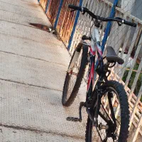 دوچرخه. چرخ