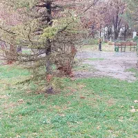 150-متر-زمین-تمام-تجاری-قاسم-آباد-شریعتی-10