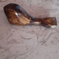 گنجشک تزئینی