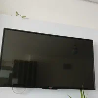 تلویزیون ۴۳ سانیا