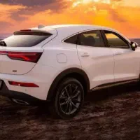 راننده شخصی هستم دربستی VIP