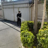 سمپاشی وباغبانی بادستگاههای مجهزی درتمام تهران