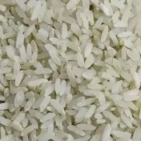 برنج کامفیروزی