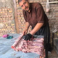 سلاخی و قصابی سیار|خدمات پذیرایی، مراسم|خرم‌آباد, |دیوار